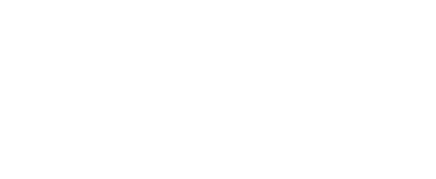 Insight & Wellness
