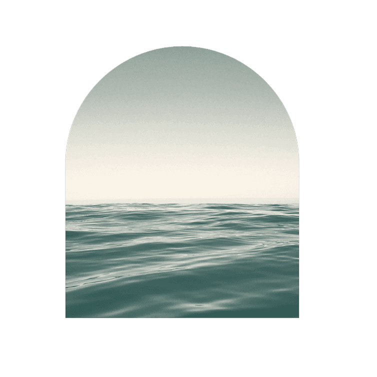 Homepage | Hero Image